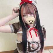 ヒメ日記 2025/11/25 01:29 投稿 ろあ ウルトラドリーム