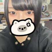 かほ います！ ウルトラドリーム