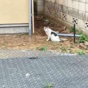 ヒメ日記 2025/12/23 11:49 投稿 かほ ウルトラドリーム