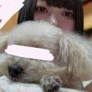 ヒメ日記 2026/01/06 15:20 投稿 かほ ウルトラドリーム