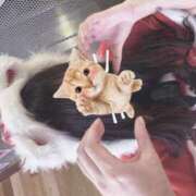 ヒメ日記 2025/12/06 14:02 投稿 みるか Lady Agent