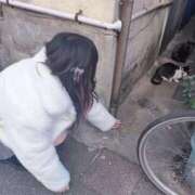 ヒメ日記 2026/01/03 12:02 投稿 みるか Lady Agent