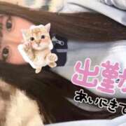 ヒメ日記 2026/01/24 16:30 投稿 みるか Lady Agent