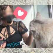 ヒメ日記 2026/02/22 22:27 投稿 才原ひすい 甲府回春アロマージュ