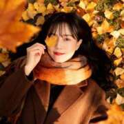 ヒメ日記 2025/11/24 15:01 投稿 藤田わかな ミセスレディ