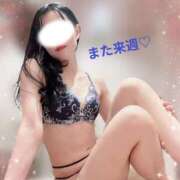 ヒメ日記 2025/11/26 15:16 投稿 藤田わかな ミセスレディ