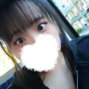 ヒメ日記 2025/11/30 13:32 投稿 みさ 白いぽっちゃりさん