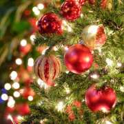 ヒメ日記 2025/12/25 07:18 投稿 まり（人妻） THE・TRY