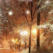 ヒメ日記 2026/01/05 21:06 投稿 まり（人妻） THE・TRY