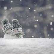 ヒメ日記 2026/01/16 20:02 投稿 まり（人妻） THE・TRY