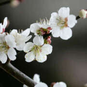 ヒメ日記 2026/03/03 22:08 投稿 まり（人妻） THE・TRY