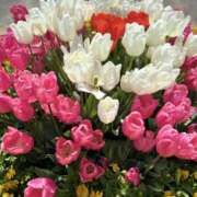 まり（人妻） ドキドキ? THE・TRY