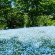 ヒメ日記 2026/04/28 00:27 投稿 まり（人妻） THE・TRY