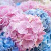 まり（人妻） 今日こそは? THE・TRY
