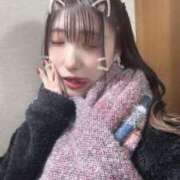 ヒメ日記 2025/12/17 15:20 投稿 ゆう 新宿本店 ぽちゃカワ女子専門店