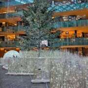 ヒメ日記 2025/11/24 19:41 投稿 かすみ シークレットタッチ