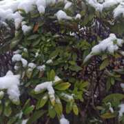 ヒメ日記 2026/02/08 08:16 投稿 かすみ シークレットタッチ