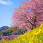 かすみ 朝から雨で寒い シークレットタッチ