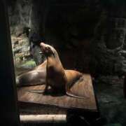 ヒメ日記 2026/01/12 12:12 投稿 指原【さしはら】 ★無料オプション多数★成田若妻即即サークル【日本人専門店】