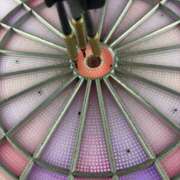 ヒメ日記 2026/01/28 18:07 投稿 つばさ 多恋人 新宿店