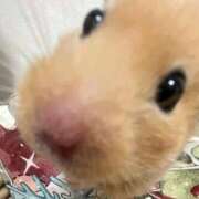 ヒメ日記 2026/01/11 04:45 投稿 るか E+アイドルスクール新宿・歌舞伎町店