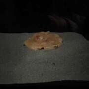 ヒメ日記 2026/03/28 17:56 投稿 天月りり 制服×コスプレ アオハルスイッチ