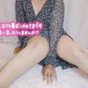 ヒメ日記 2025/11/24 16:28 投稿 飯田みよ 恋する妻たち