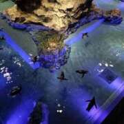 ヒメ日記 2025/12/23 09:18 投稿 飯田みよ 恋する妻たち