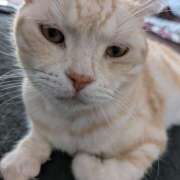 ヒメ日記 2026/03/23 11:12 投稿 とわ 奥さま未来　立川店