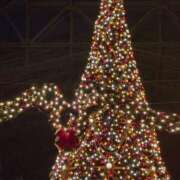 ヒメ日記 2025/12/05 20:16 投稿 せつな CUTE