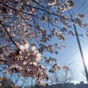 ヒメ日記 2026/04/23 19:17 投稿 のん お姉さんSelect