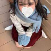 ヒメ日記 2025/11/19 01:46 投稿 ヒナ エピソード(品川)