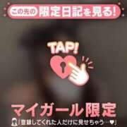 ヒメ日記 2025/11/19 16:01 投稿 ヒナ エピソード(品川)