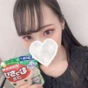 ヒメ日記 2025/11/20 14:16 投稿 ヒナ エピソード(品川)