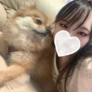 ヒメ日記 2025/11/21 15:16 投稿 ヒナ エピソード(品川)