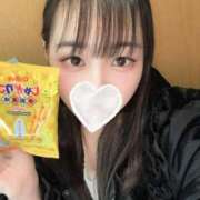 ヒナ 名古屋のお土産?? エピソード(品川)