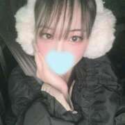 ヒナ バタバタ? エピソード(品川)