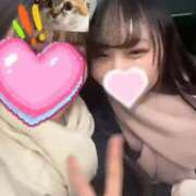 ヒナ うーっ?? エピソード(品川)