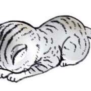 ヒメ日記 2025/12/30 20:51 投稿 いりあ 極楽城(ゴクラクジョウ)