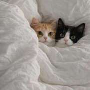 るい 見てほしいな ミルキーラテ