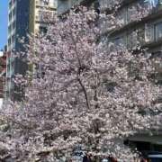 ヒメ日記 2026/03/29 14:53 投稿 ほほえみ もしも清楚な20、30代の妻とキスイキできたら横浜店