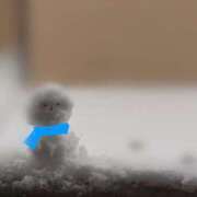 つき 雪だるま 渋谷じゃっくす