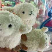 ヒメ日記 2026/01/17 23:45 投稿 よう ぷるるん小町梅田店