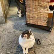 ヒメ日記 2026/01/18 08:33 投稿 よう ぷるるん小町梅田店