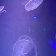 ヒメ日記 2026/01/18 22:41 投稿 よう ぷるるん小町梅田店