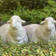 ヒメ日記 2026/01/28 21:39 投稿 よう ぷるるん小町梅田店