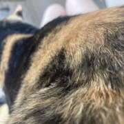 ヒメ日記 2026/02/22 11:16 投稿 よう ぷるるん小町梅田店