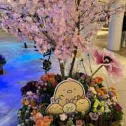ヒメ日記 2026/03/21 22:54 投稿 よう ぷるるん小町梅田店