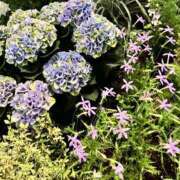 ヒメ日記 2026/06/14 13:55 投稿 よう ぷるるん小町梅田店