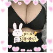 ヒメ日記 2025/12/12 17:19 投稿 なるみ 愛媛松山ちゃんこ